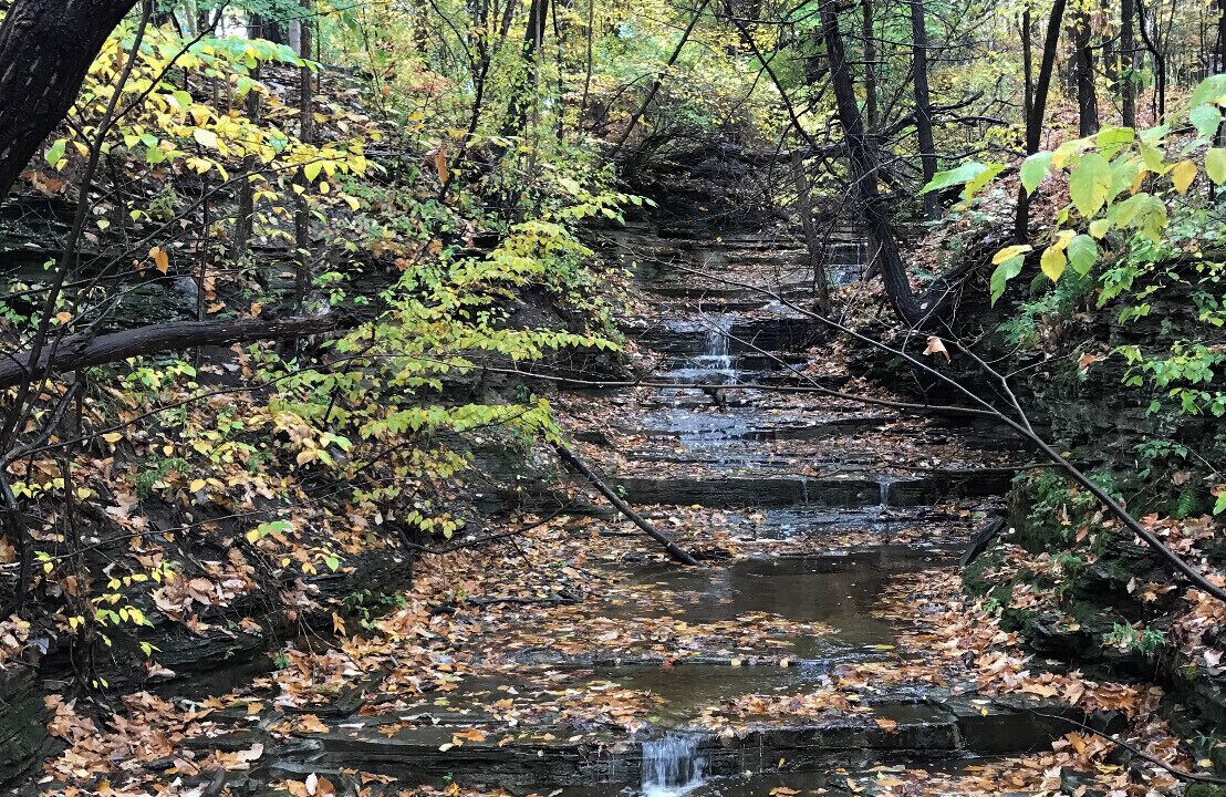 Photo of Outdoor in Ithaca