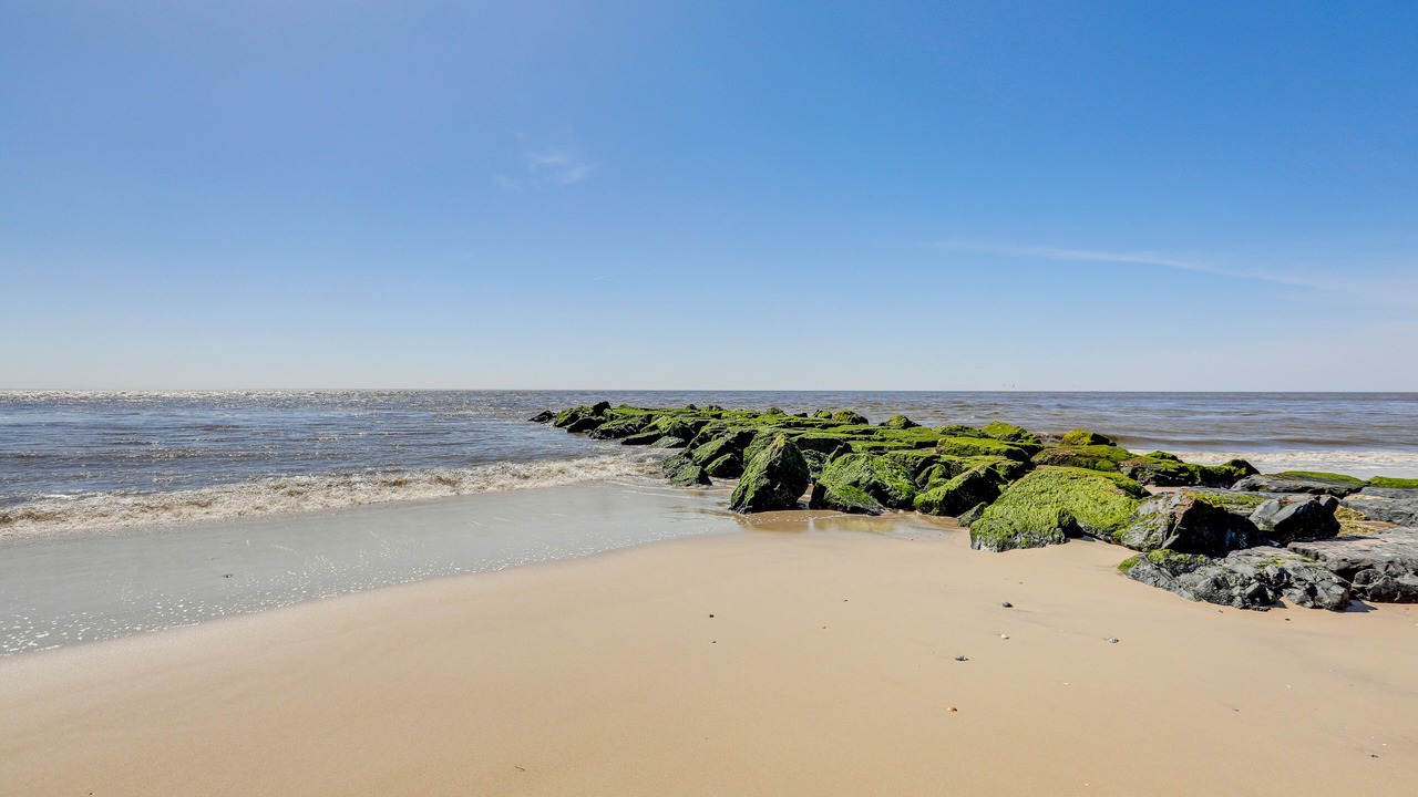 Photo of Others in Cape May Point