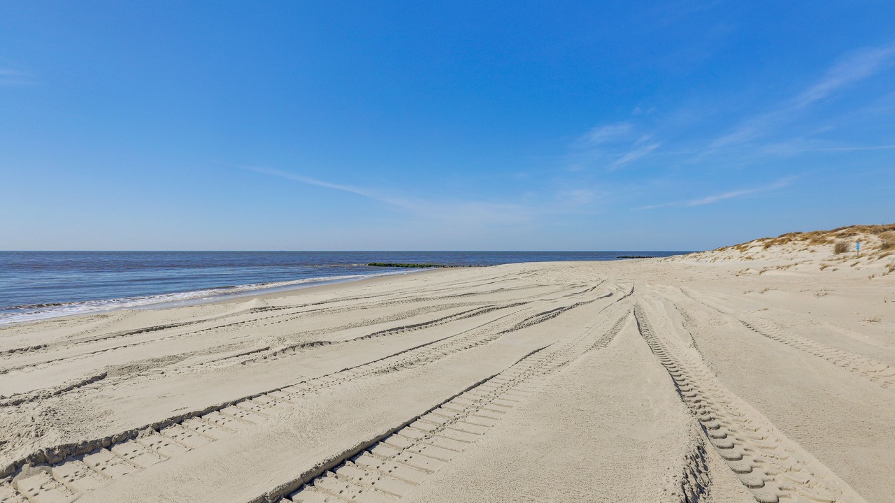 Photo of Others in Cape May Point
