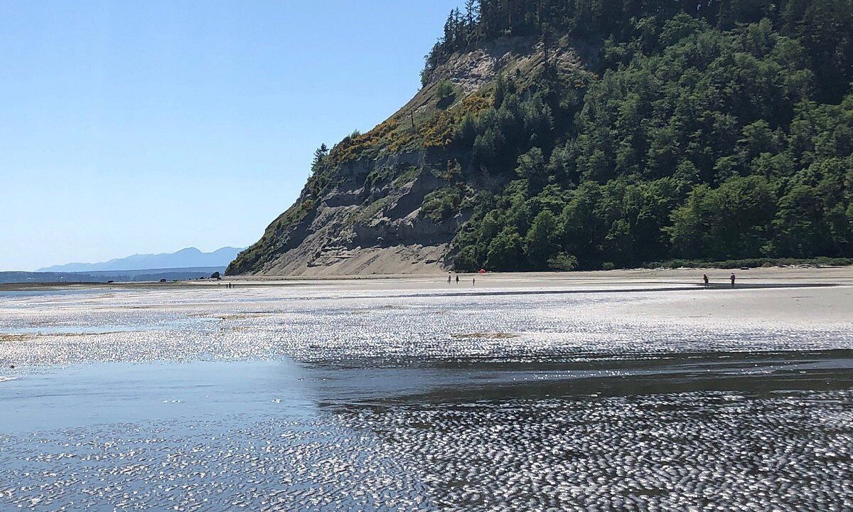 Photo of Others in Freeland