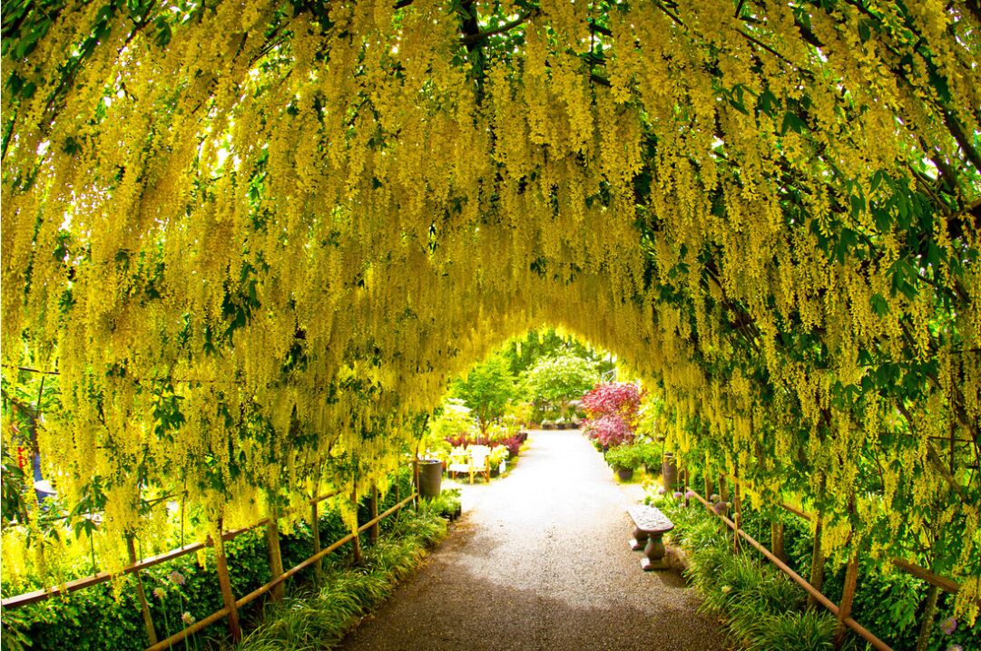 Photo of Outdoor in Freeland