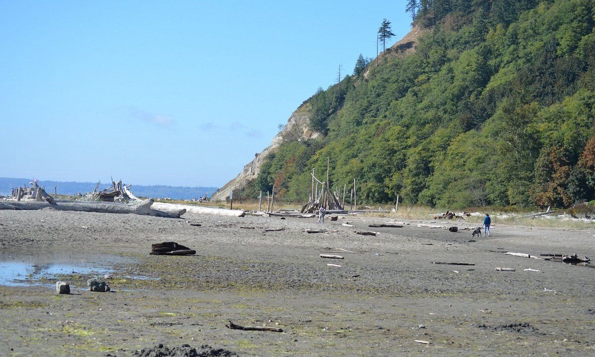 Photo of Others in Freeland