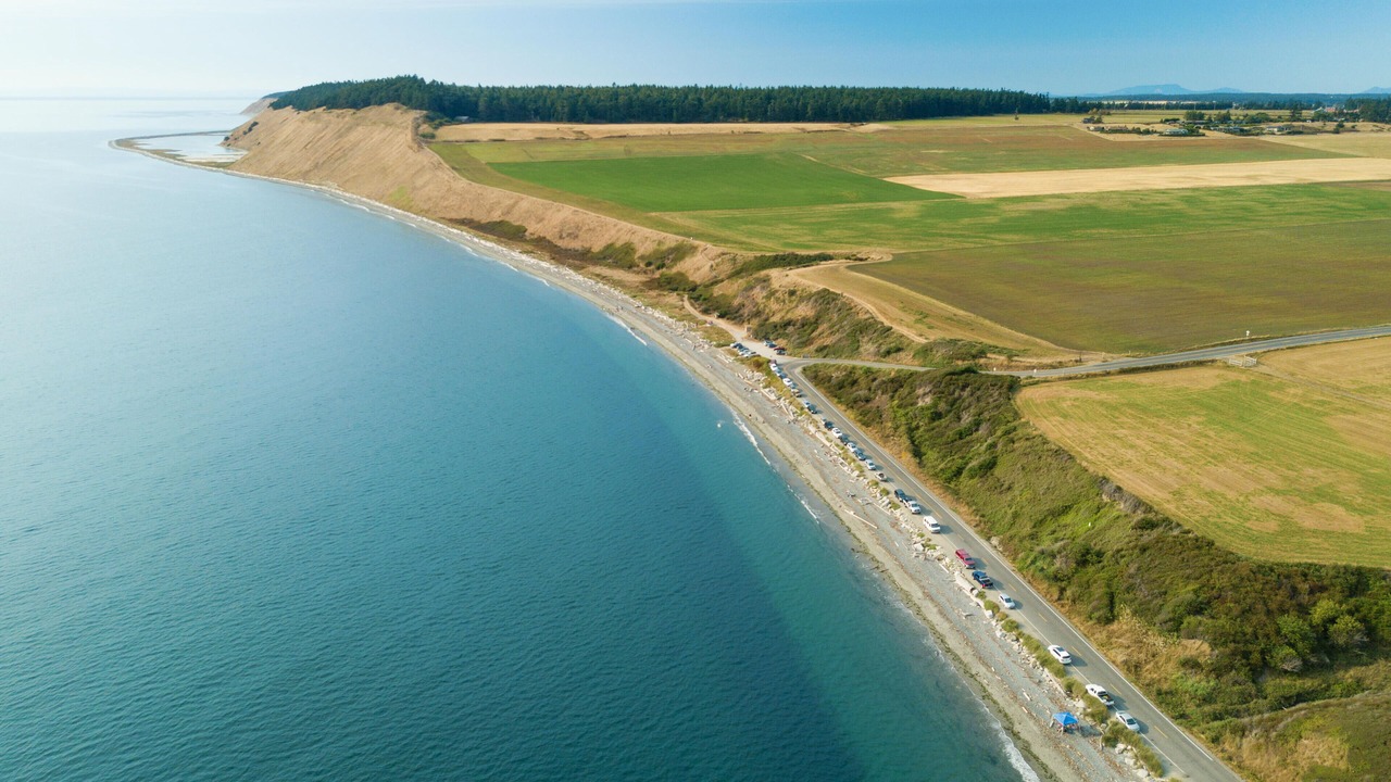 Photo of Others in Freeland