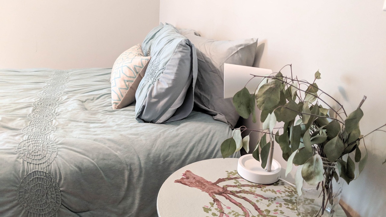 Photo of Bedroom in Indian Village