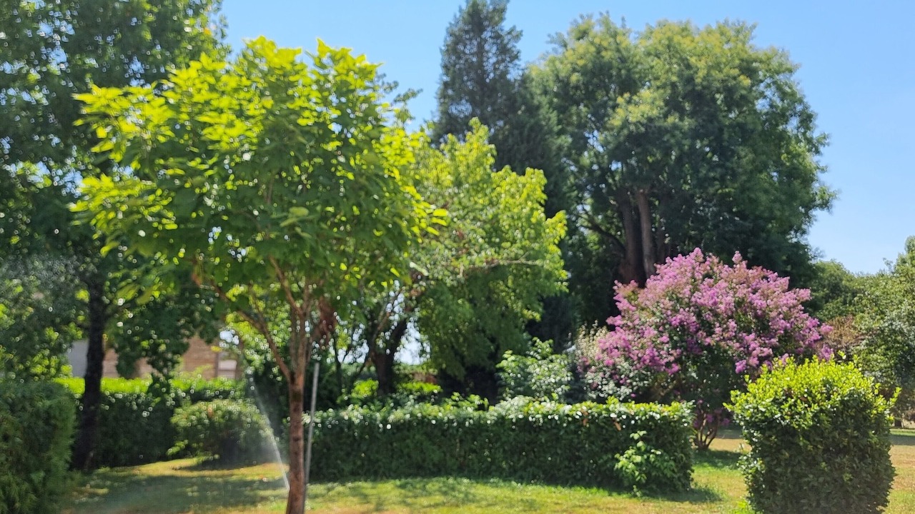 Photo of Outdoor in Golfech