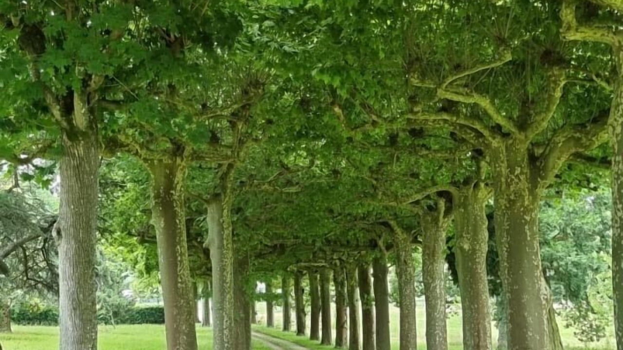 Photo of Outdoor in Golfech