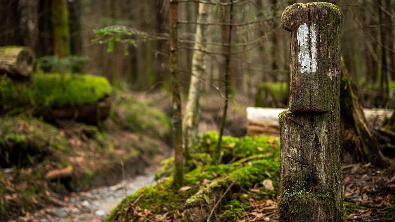 Photo of Outdoor in Chalet Village