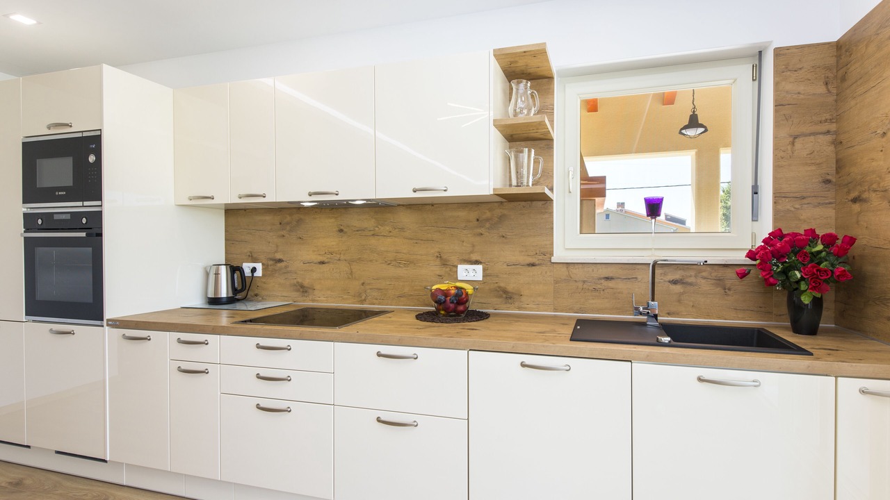 Photo of Kitchen in Nedescina