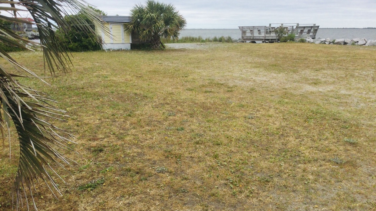 Photo of Outdoor in Cedar Island