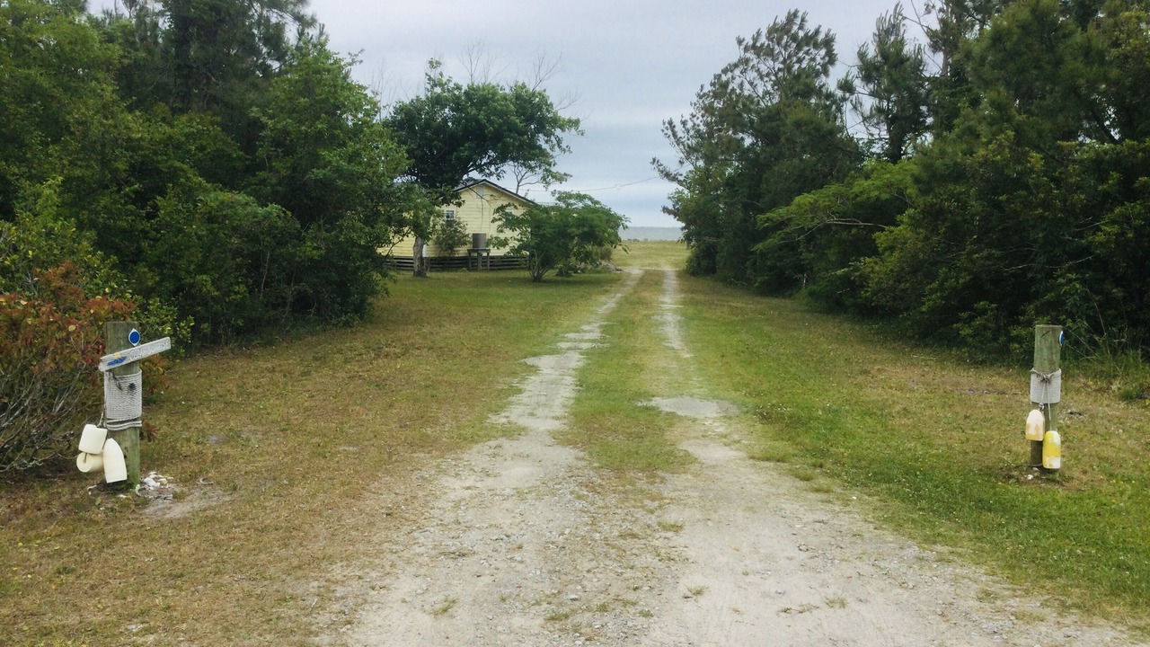 Photo of Others in Cedar Island