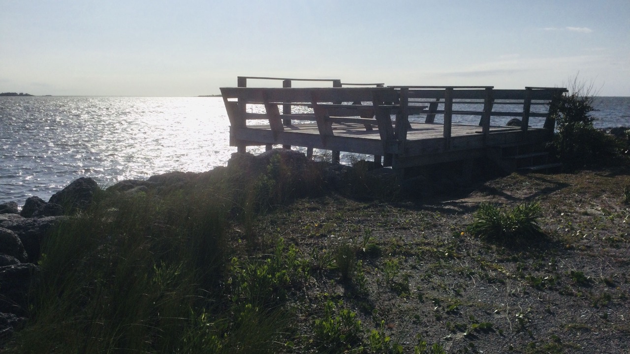 Photo of Others in Cedar Island