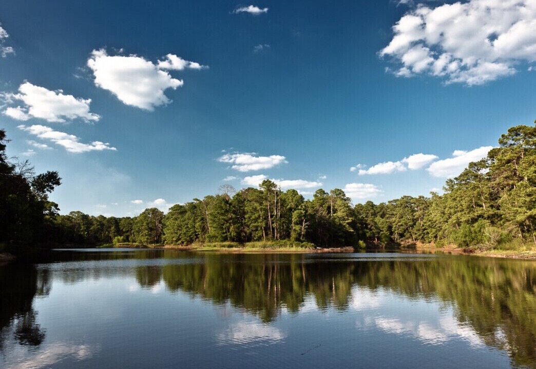 Photo of Outdoor in Bastrop
