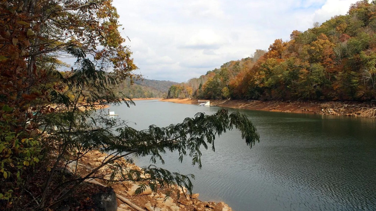 Photo of Others in Flat Hollow Marina