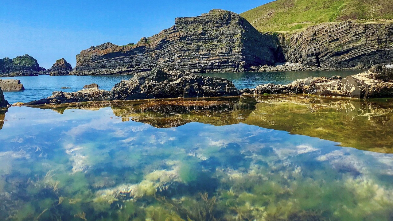 Photo of Others in Hartland