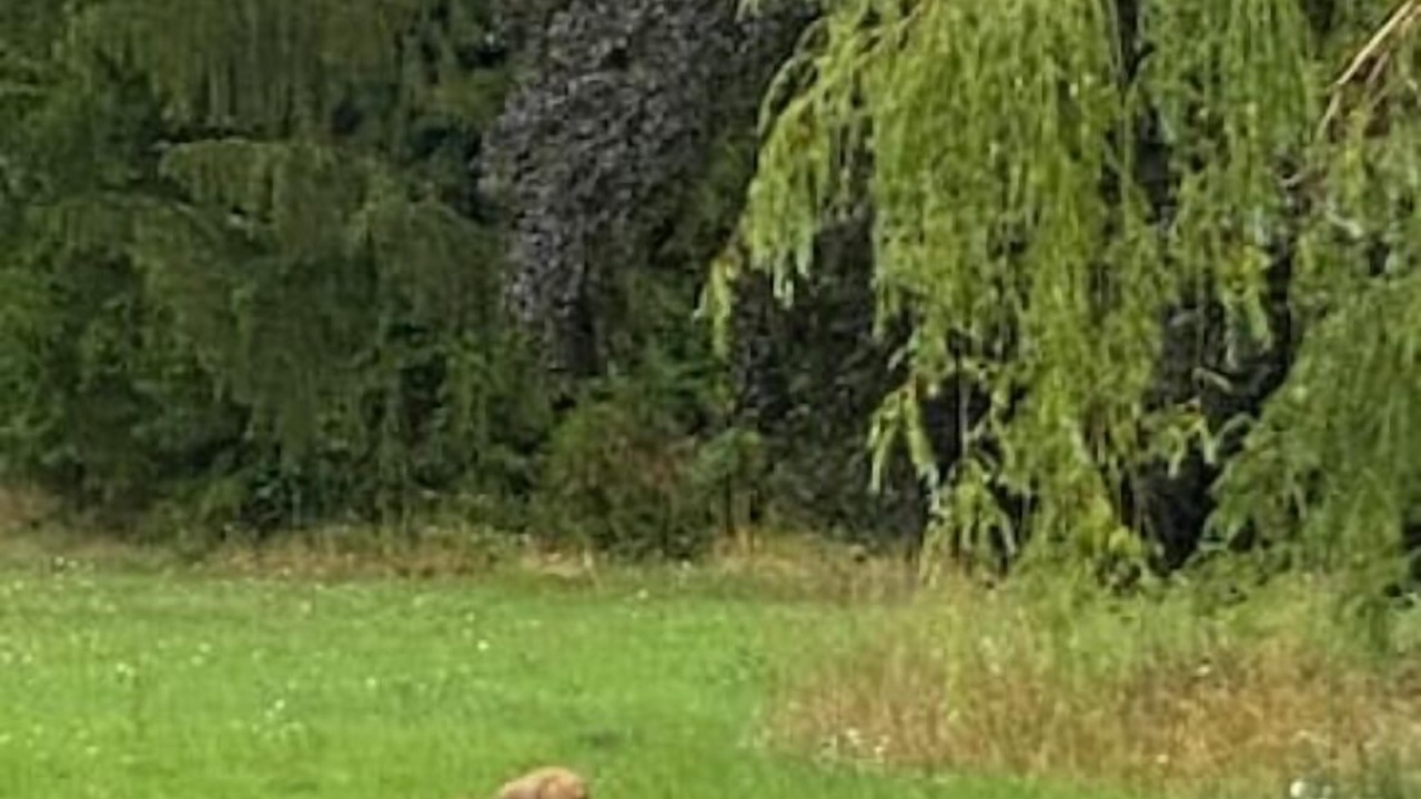 Photo of Outdoor in Chailloue