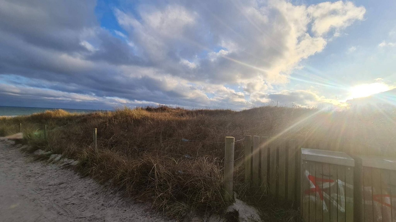 Photo of Others in Bøtø By