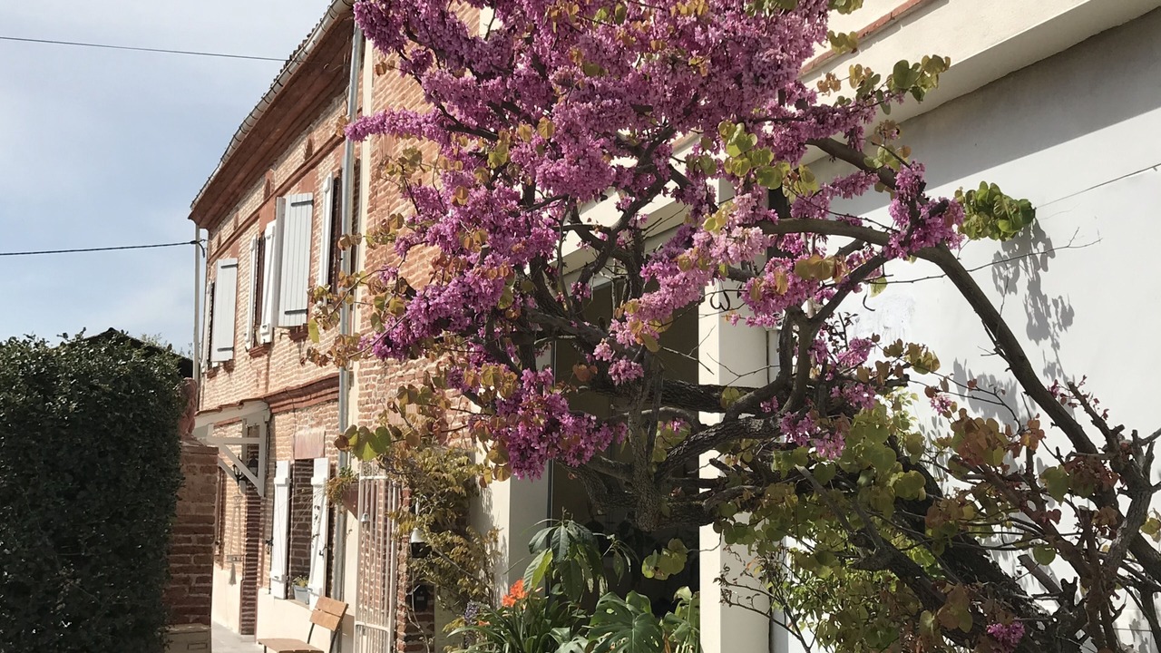 Photo of Outdoor in Mauvaisin