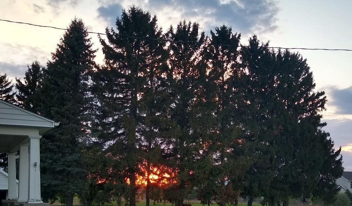 Photo of Outdoor in Birch Run Township