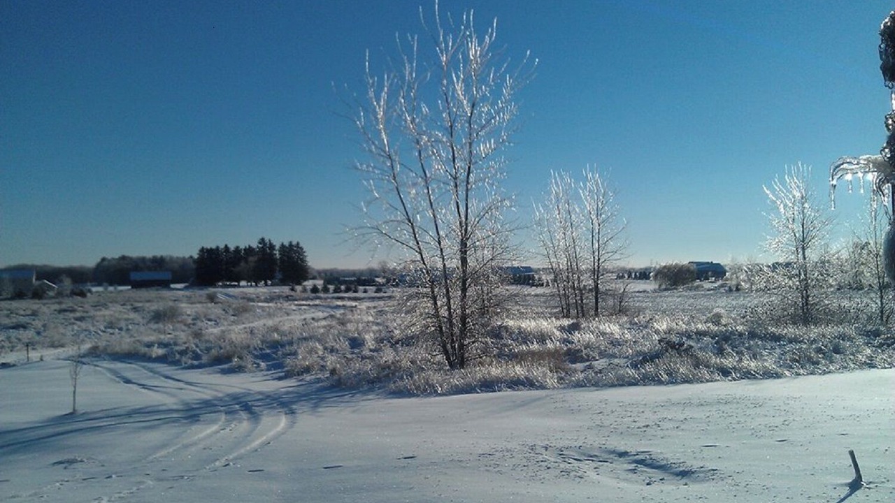 Photo of Others in Birch Run Township