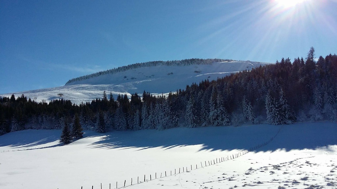 Photo of Others in Saint-Alyre-es-Montagne