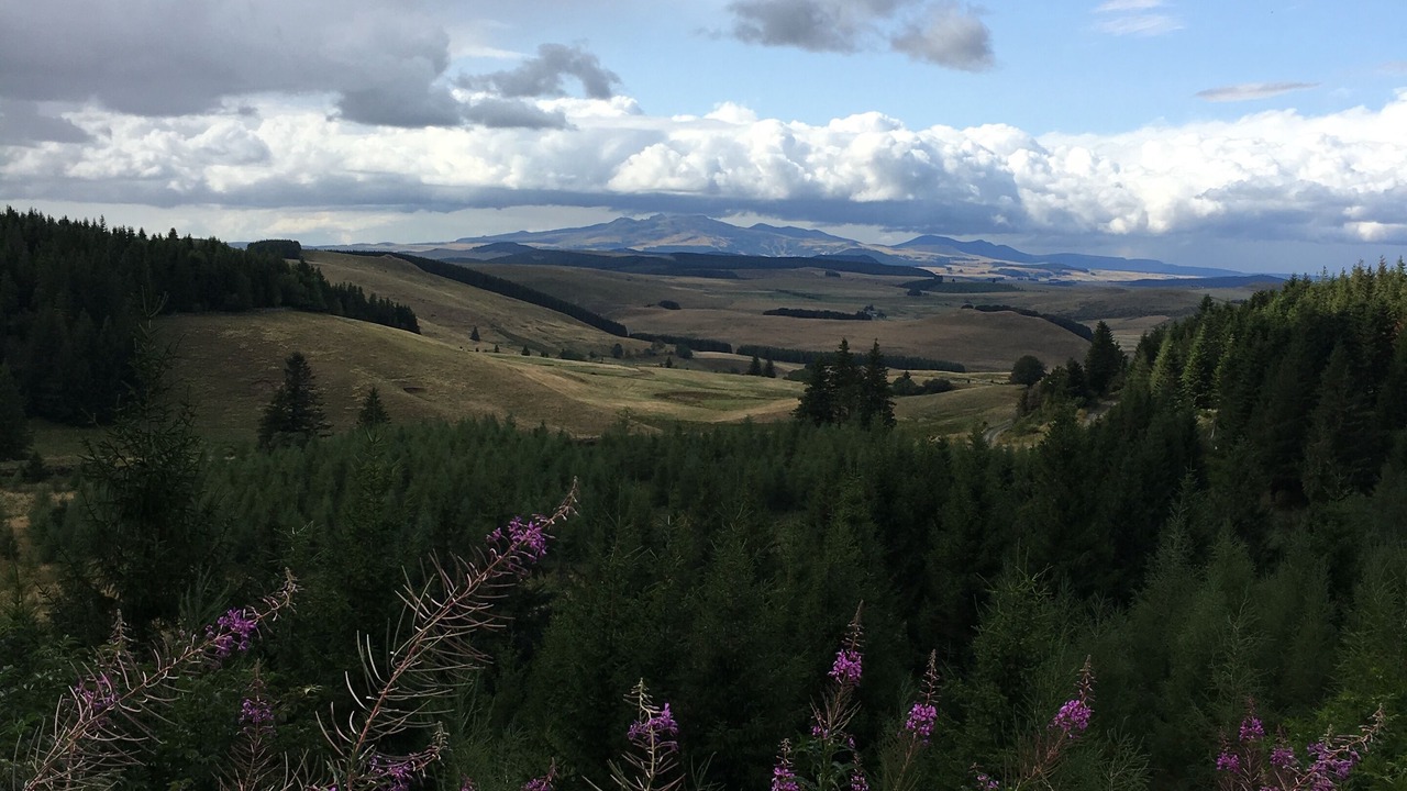 Photo of Outdoor in Saint-Alyre-es-Montagne