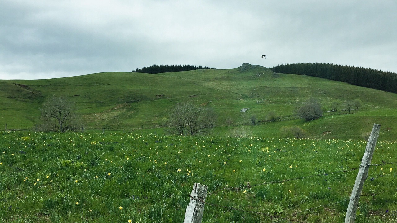 Photo of Outdoor in Saint-Alyre-es-Montagne
