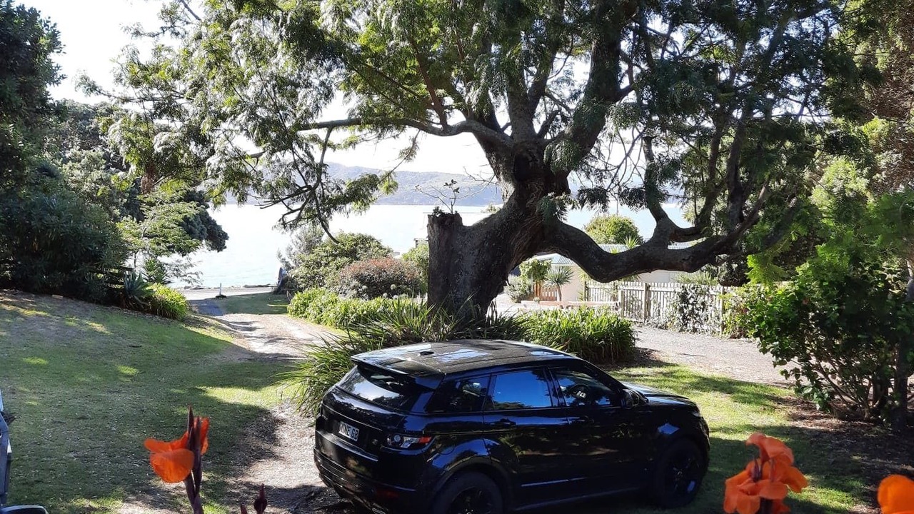 Photo of Outdoor in Opononi