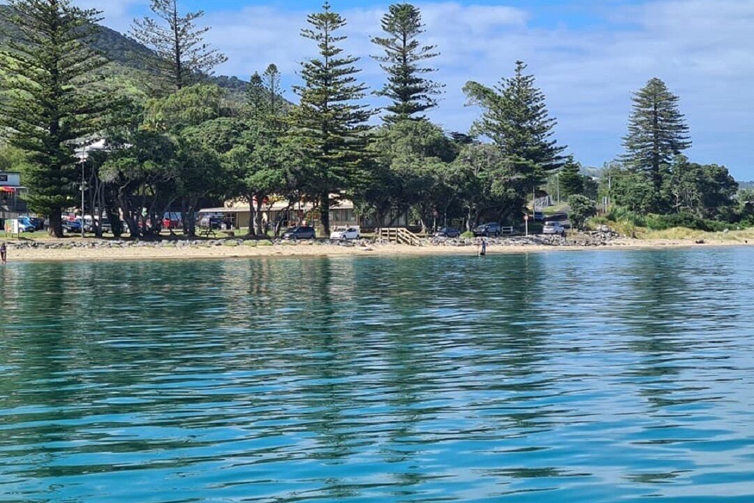 Photo of Others in Opononi