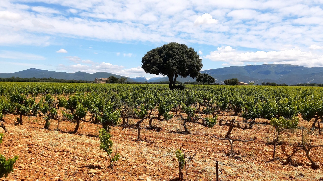 Photo of Outdoor in Valreas