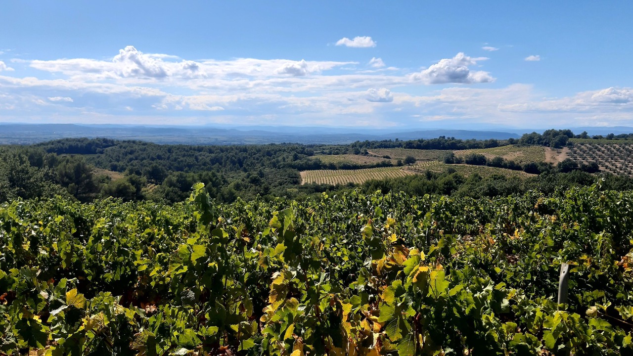 Photo of Outdoor in Valreas