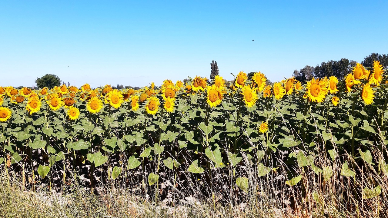 Photo of Outdoor in Valreas
