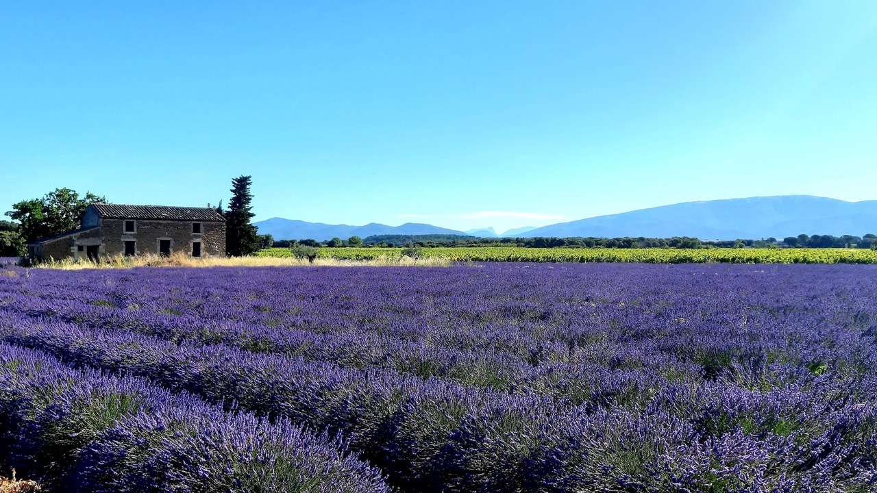 Photo of Outdoor in Valreas