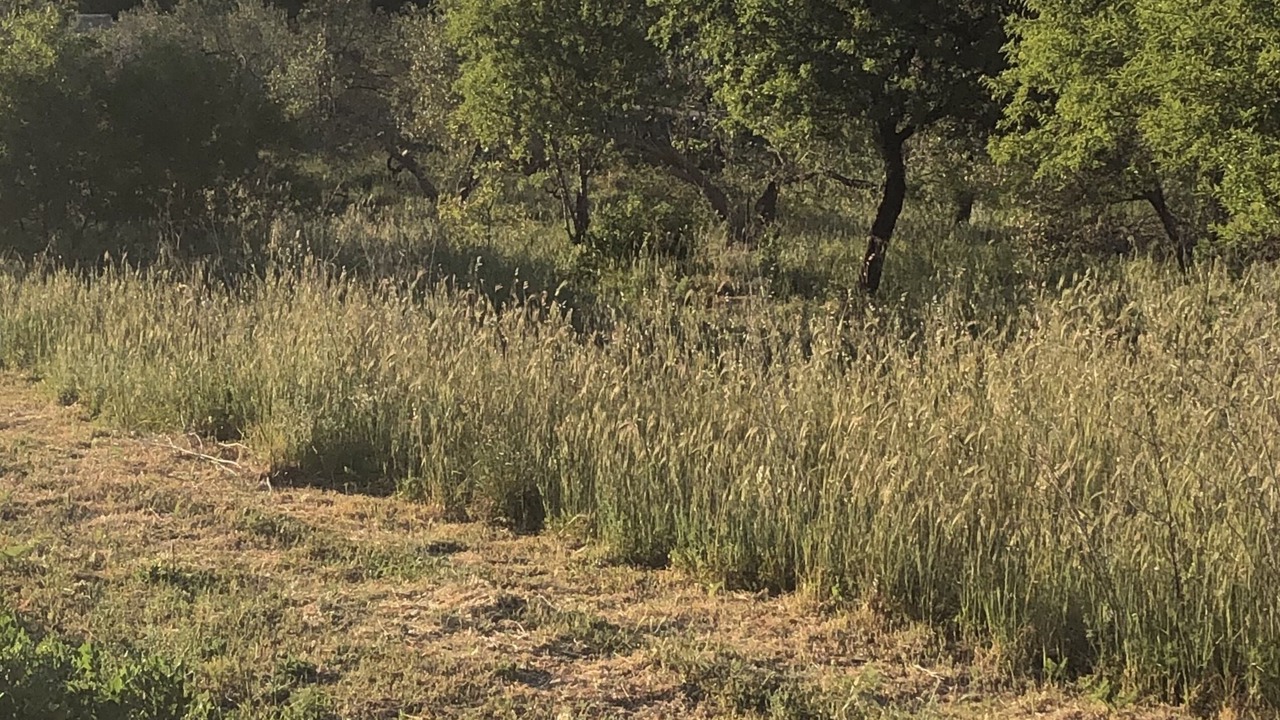 Photo of Outdoor in Drage