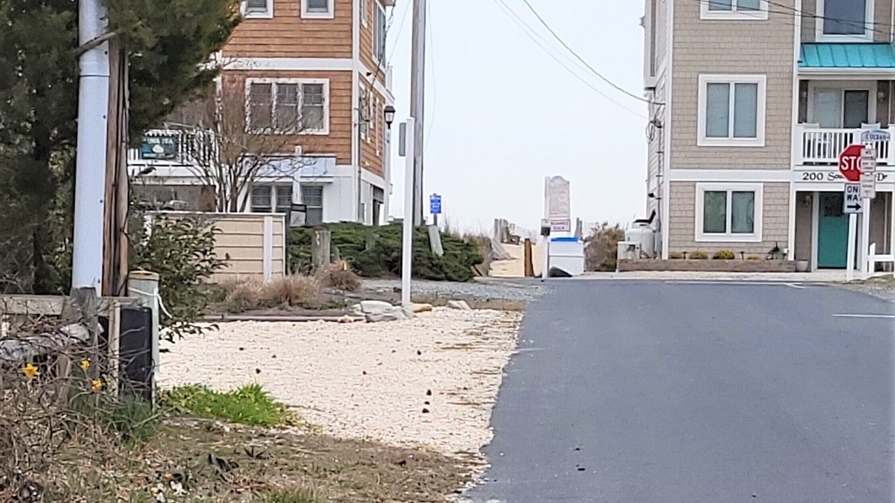 Photo of Outdoor in South Bethany