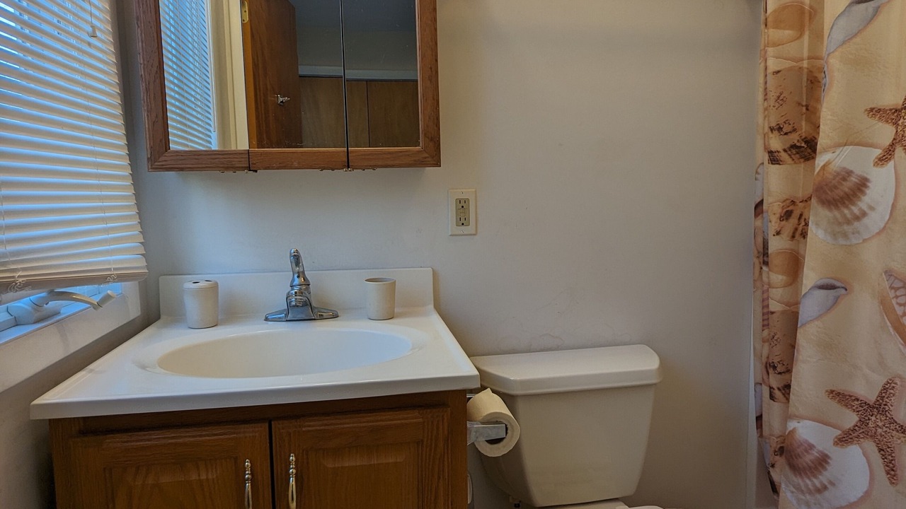 Photo of Bathroom in South Bethany