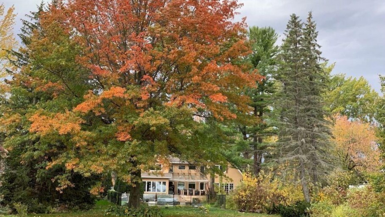 Photo of Others in South Glengarry