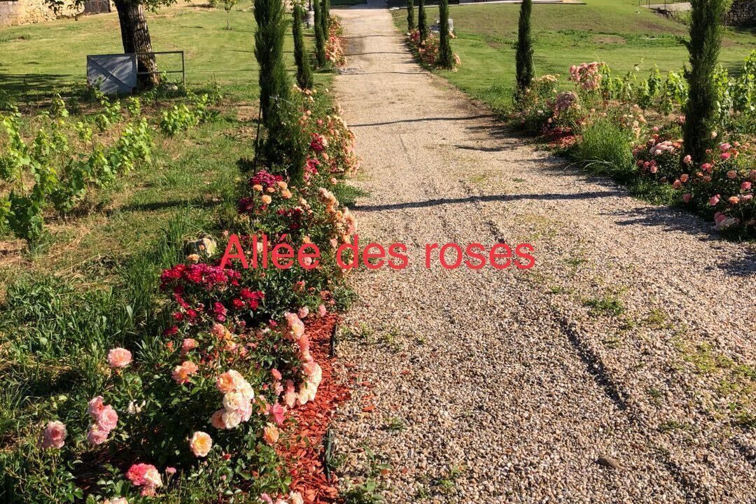 Photo of Outdoor in Saint-Philippe-dAiguille