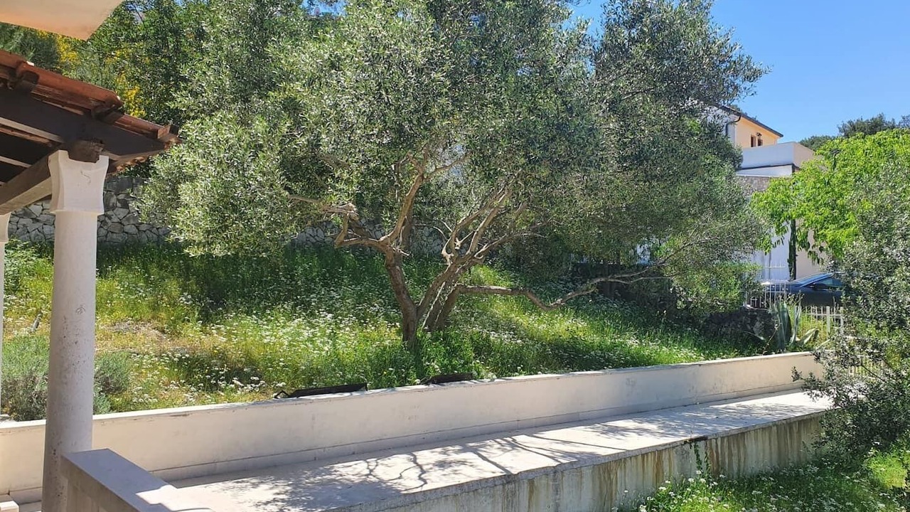 Photo of Outdoor in Okrug Donji