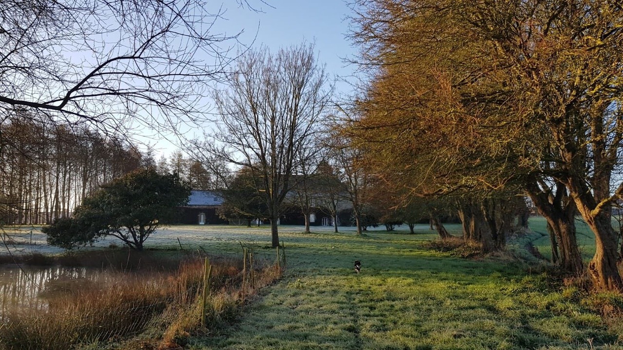 Photo of Outdoor in Pommerit-le-Vicomte