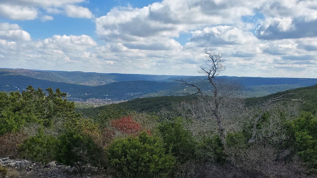 Photo of Others in Leakey