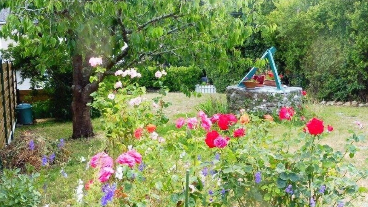 Photo of Outdoor in Saint-Marc-sur-Mer