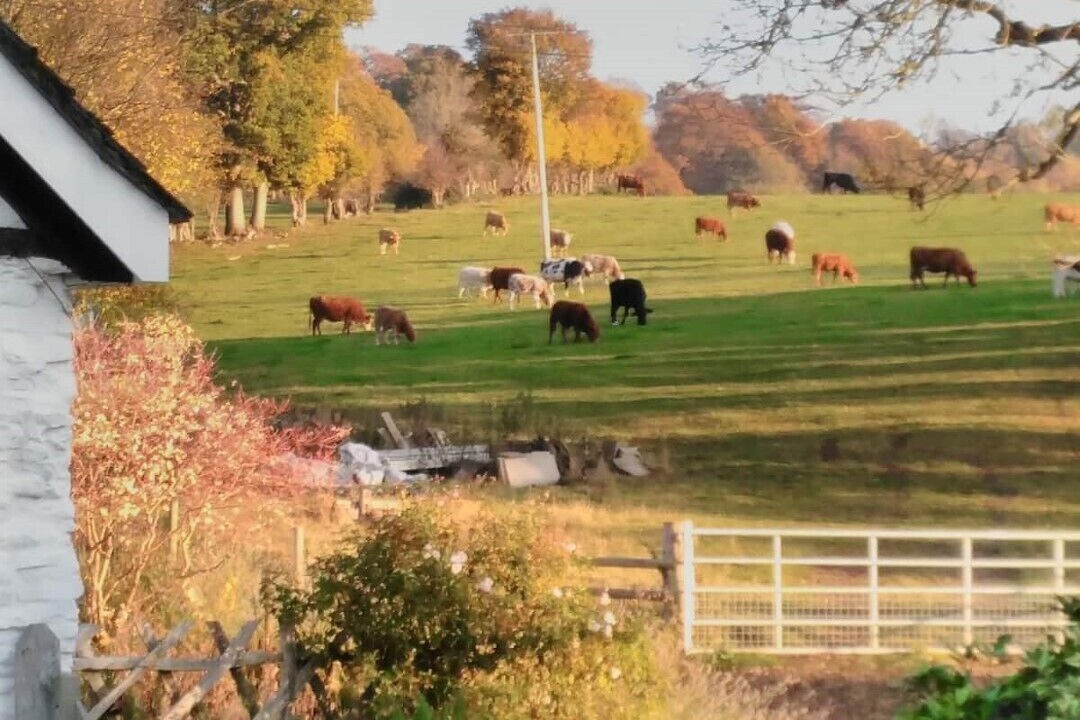 Photo of Others in Peterchurch