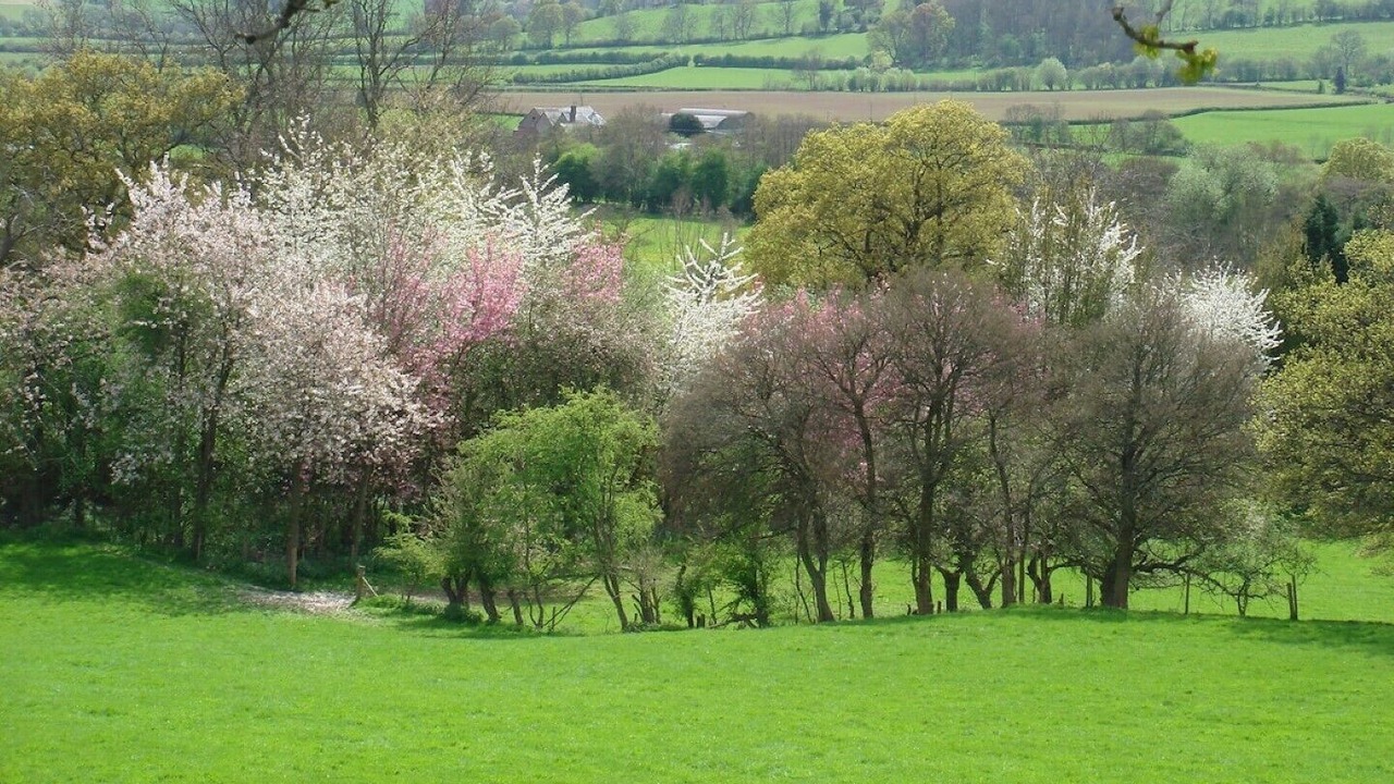 Photo of Others in Peterchurch