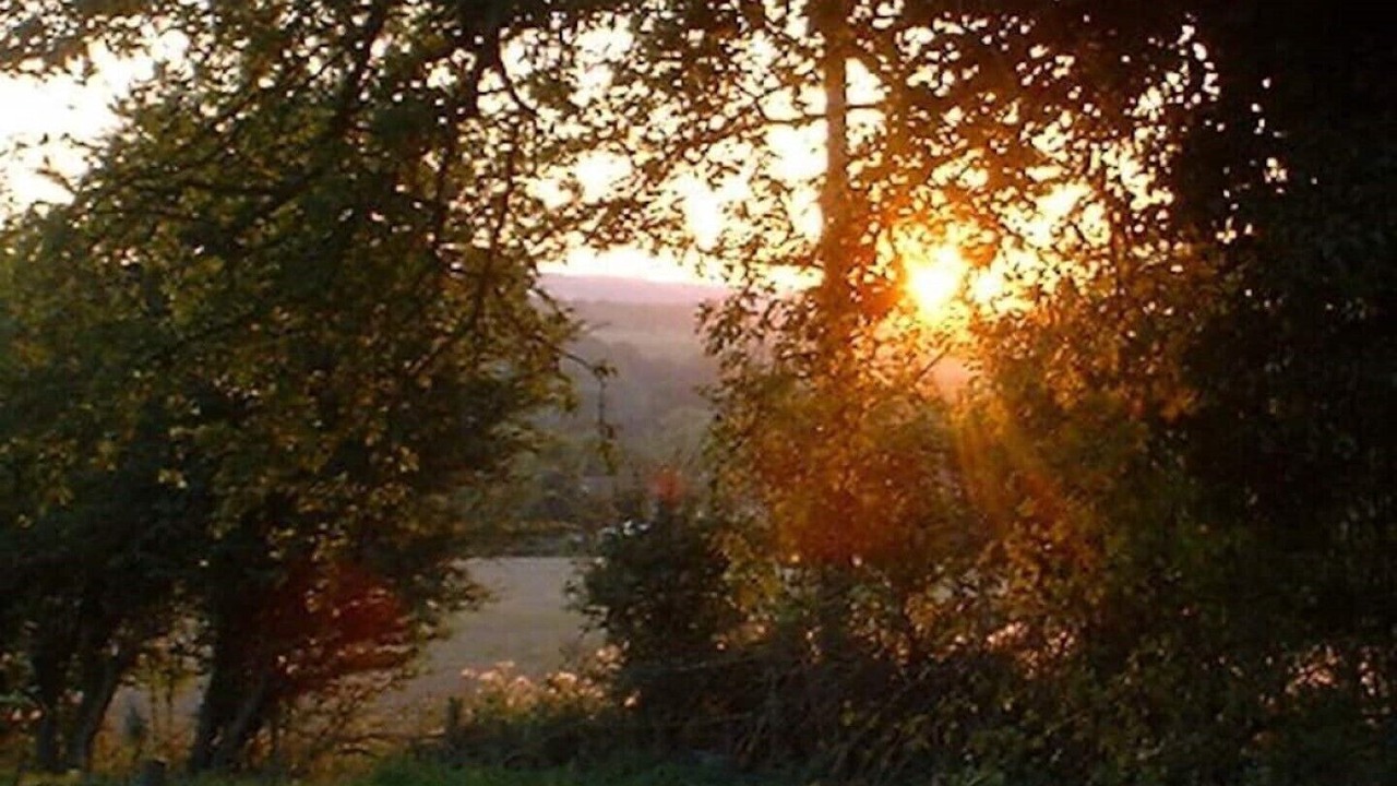 Photo of Others in Peterchurch