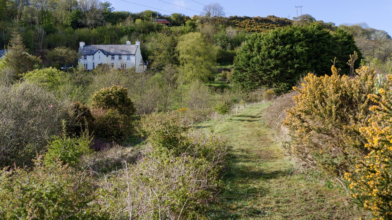 Photo of Others in West Down