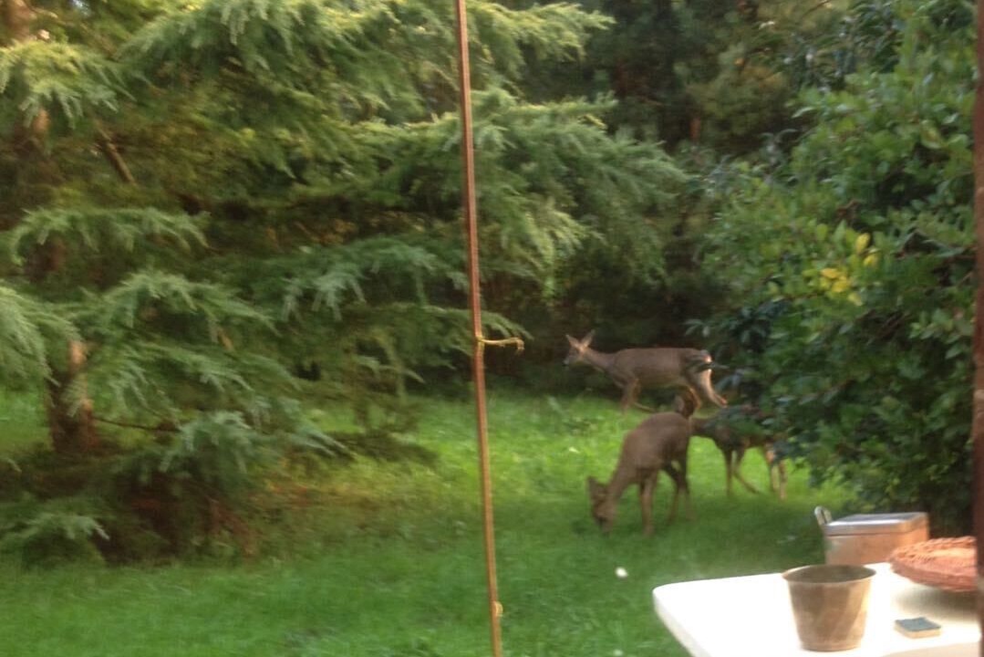 Photo of Outdoor in Pont-l'Eveque