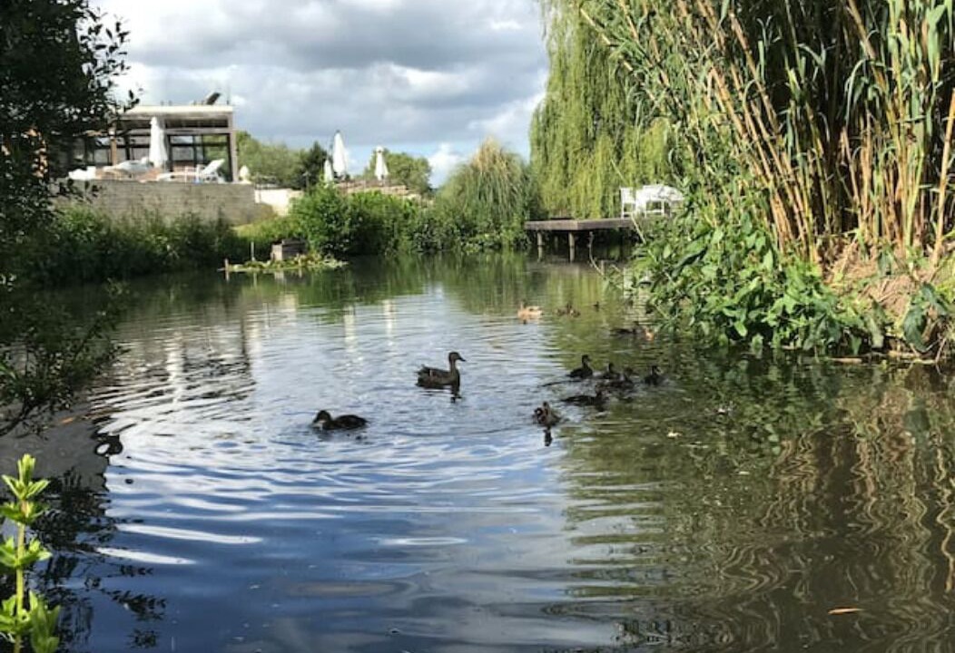 Photo of Outdoor in Pont-l'Eveque