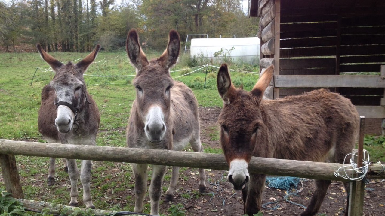 Photo of Outdoor in Pont-l'Eveque
