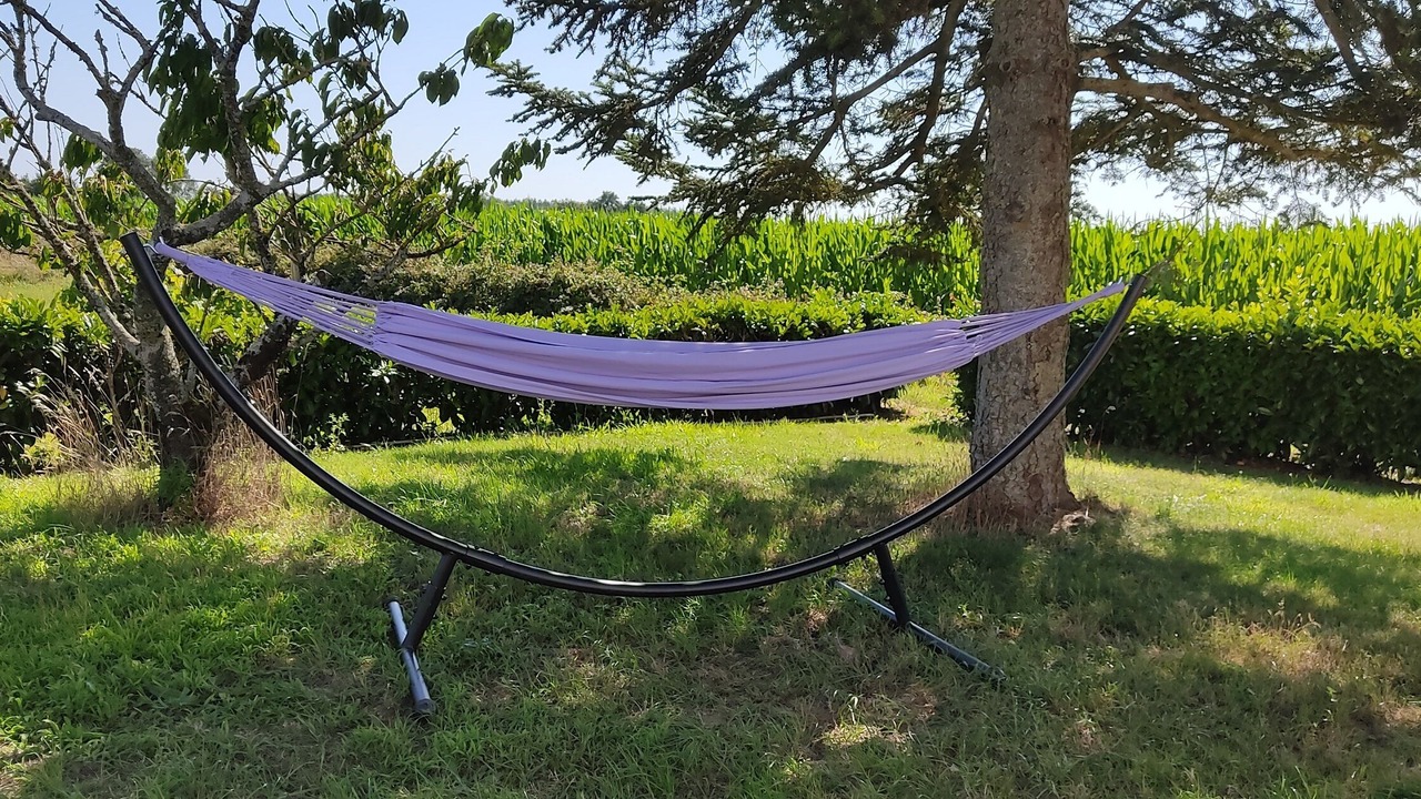 Photo of Outdoor in Commequiers