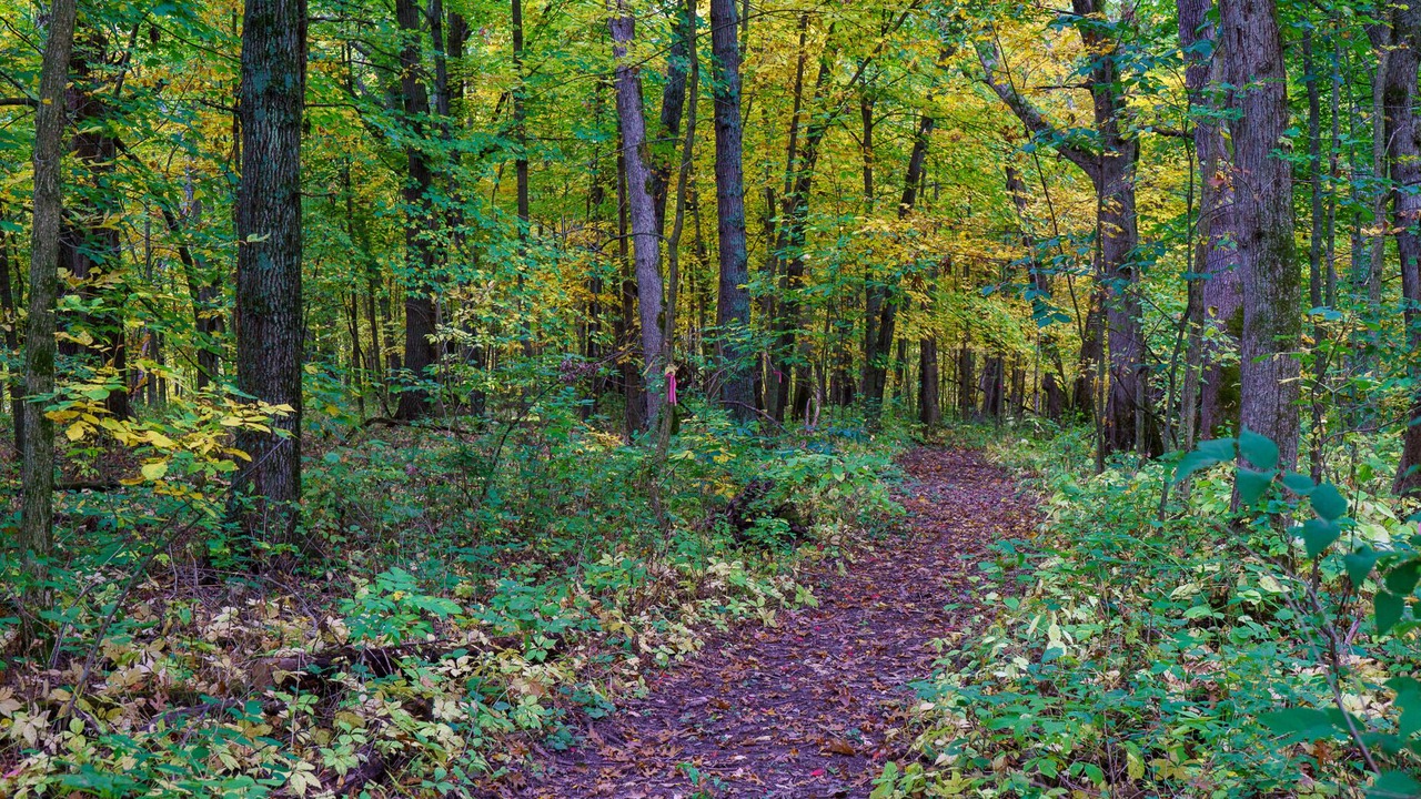 Photo of Outdoor in Viroqua